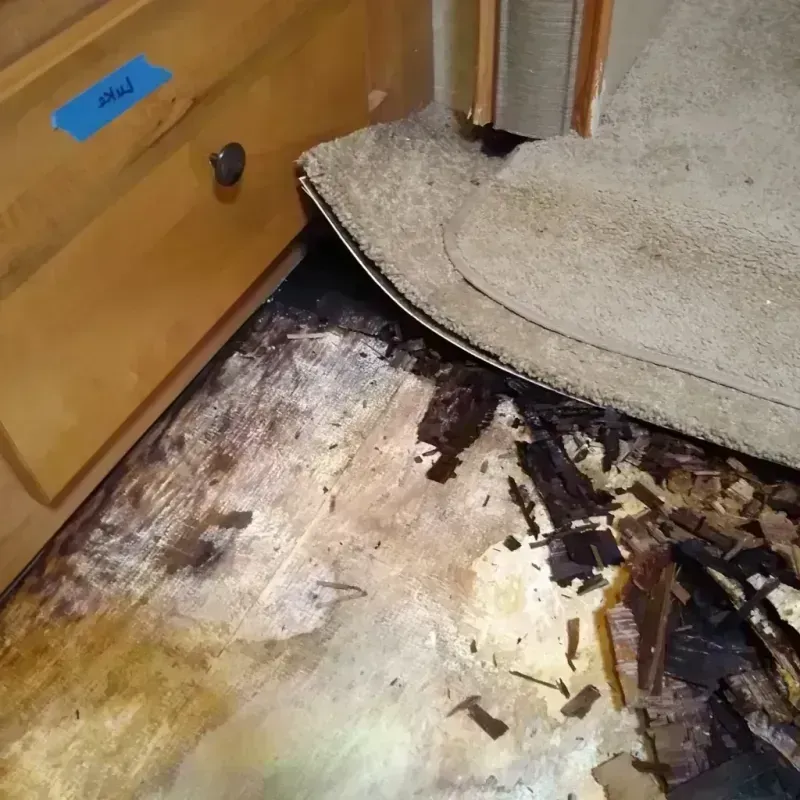 Wood Floor Water Damage in Rodeo, CA